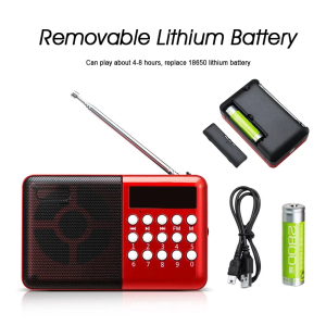 ĐÀI RADIO FM NGHE NHẠC QUA USB VÀ THẺ NHỚ-Đài Phát Thanh Kỹ Thuật Số Loa Di Động Mini FM Radio USB