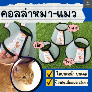 คอลล่า หมาแมว 3 ไซส์ พลาสติก ลำโพงกันเลีย ปลอกคอสัตว์เลี้ยง Collar ปรับขนาด