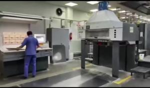 Bộ trang trí tiệc sinh nhật Bluey mới   Bóng bay trang trí bánh hoạt hình bằng giấy nhôm 5 Bộ Đồ