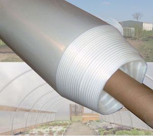 UV Plastic Sheet (6 mil - 150 Microns) - 10ft x 15 meter