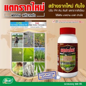 ข้าวแตกกอ แตกราก สร้างรากใหม่ รากกินปุ๋ย ปรับ PH ดิน ฟื้นต้น ข้าวระยะคุมเลน คุมฆ่า บำรุงนาข้าว ฮอร์โมนข้าว ปุ๋ยยา