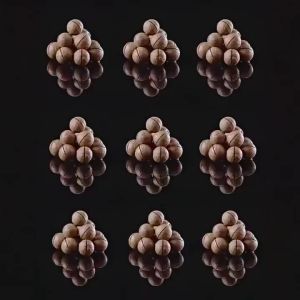 【BUY 1 TAKE 1】500g/Can Macadamia Nuts Ready to Eat Food Healthy 100% Organic Rich Nutrition Glunten Free