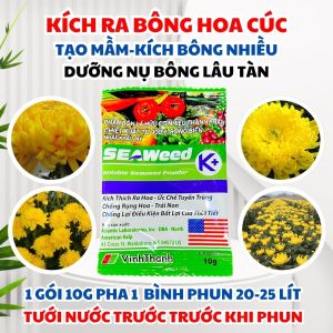 Phân Bón Lá Hữu Cơ Rong Biển 100% Nhập Khẩu Mỹ – Seaweed K+ Giàu Amino Tự Nhiên Dưỡng Nụ Dưỡng Bông Giữ Màu Hoa Cúc Lâu Tàn
