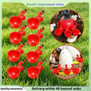 Automatic chicken waterer for feeding chickens. Automatic waterer for chickens ducks and geese