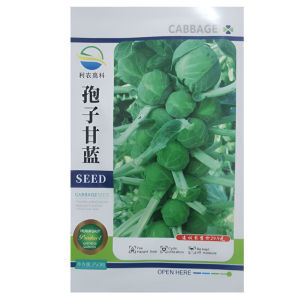 250 Butir Benih Kubis Brussels / Brussel Sprout Seeds / Biji Benih Sayuran Kubis