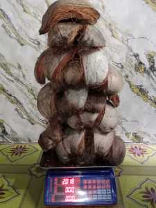 Coco Husk High Quality (2KG) for Plants or Orchids