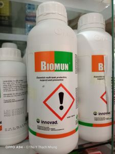 BIOMUN (Chai 1 lít). Giải Độc Gan Thảo Dược Chiết Xuất Nâm Men. Thuoc tằng lực giải độc gan mạnh triệt để tăng cường miễn dịch.