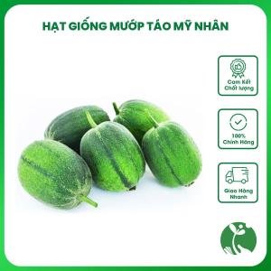 Hạt giống Mướp táo Mỹ nhân (Mướp táo ngọt Đài Loan) - Gói khoảng 8 hạt F1 - Nội địa Trung