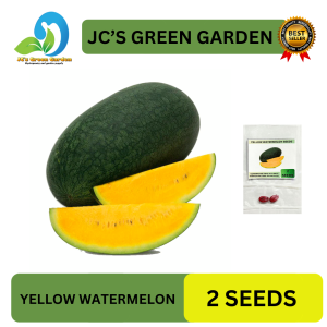 VALUE PACK (2 SEEDS) - YELLOW WATERMELON/HYBRID/SUPER SWEET/EASY TO GROW/HIGH YIELD/MORE PROFIT