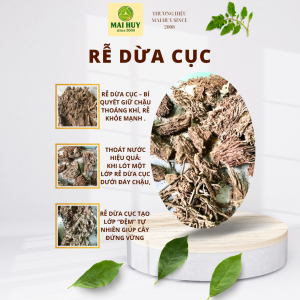 RỄ DỪA CỤC - KHỐI LƯỢNG 3KG – BÍ QUYẾT GIỮ CHẬU THOÁNG KHÍ RỄ KHỎE MẠNH CHO CÂY TRỒNG
