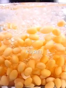 北京同仁堂朕皇中老年无蔗糖蛋白粉高钙营养乳清蛋白质粉