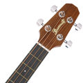 Paramount AB361E Acoustic Bass กีตาร์เบสโปร่งไฟฟ้า กีตาร์เบสโปร่ง 36" / 20 เฟรต ไม้สปรูซ/มะฮอกกานี ปิ๊กอัพ 3-Band จูนเนอร์ในตัว ** ประกันศูนย์ 1 ปี **. 