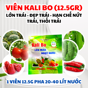 Viên Phục Vụ Măng Cầu & Dưa Hấu Kali Bo 12.5g - Tăng Cường Giống Mạnh Rộng - Năng Kỹ