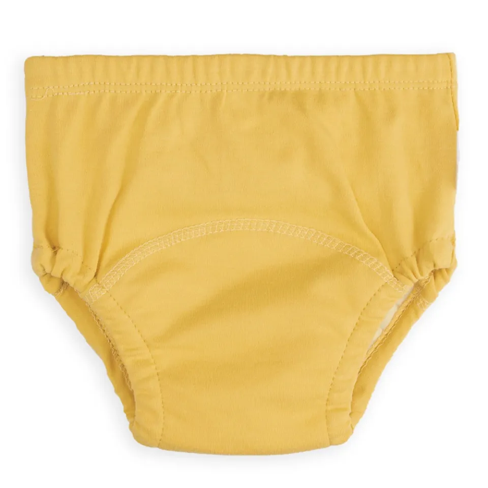 Candy-colored Diapers Better than 6 layers Waterproof Training Pants for  Kids Potty Training