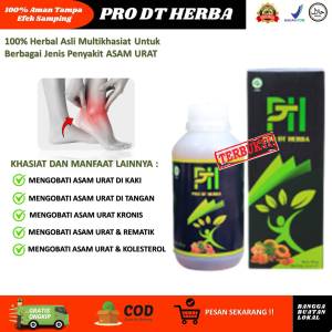 Obat Asam Urat Dan Rematik Paling Ampuh Linu Sendi Sakit Pinggang Kolesterol 100% Produk Original Alami Halal PRO DT HERBA