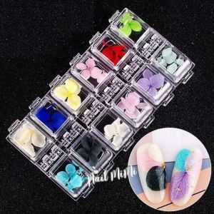 Hoa Khô Trang Trí Móng Set 12 Màu
