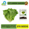 (370 SEEDS) - GREEN RAPID LETTUCE SEEDS/RAPID LG/FOR BEGGINERS VARIETY/EASY TO GROW. 