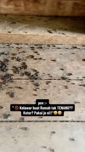 【All Bats Stay Away！】Bat Repellent New Upgrade Penghalau Kelawar Easily Drives Away Bats Long-Lasting Effect Repellent