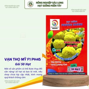 Gói 50 Hạt Vạn Thọ Thái Lùn F1 PH45 – Vàng Chanh Cao 35–45cm