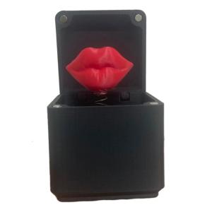 3D Love Heart in Surprise Case 3D Love Heart in a Box Fun Surprise Present Box for Wife Girlfriend Valentines Day