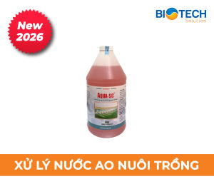Aqua SC Vi sinh xử lý nước ao nuôi thủy sản nước ao nuôi cá cảnh combo 6 chai 2L