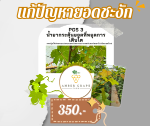 PGS3 น้ำยากระตุ้นยอดที่หยุดการเติบโต - ชนิดป้าย