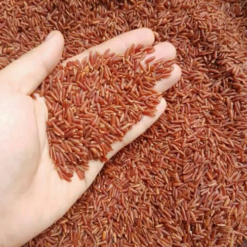 1 Kg Gạo Lứt Đỏ ( Huyết Rồng) - hạt dài đỏ giàu dinh dưỡng tốt cho sức khỏe