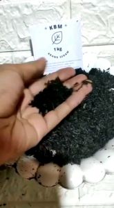 Sekam bakar / arang sekam media tanam organik 1kg