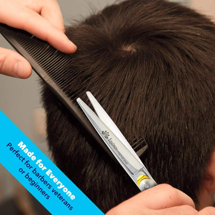 Equinox Professional Series Razor Edge Hair Cutting Scissor (6.5 ...