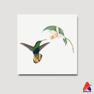 HIASAN DINDING BURUNG WALL DECOR PAJANGAN POSTER KAYU GAMBAR BURUNG