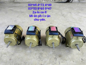 Mô tơ gắn máy băm cỏ thí chuối... Toàn Phát 15hp