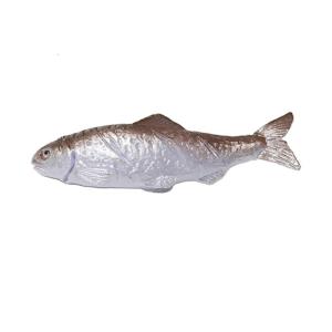 Unique Barrettes Hairpins Dried Fish Hair Clip Headwear Simulated Salted Fish Keychain Keyring for Women Bag Pendant