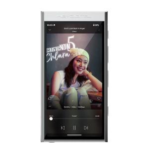 New! HiBy Digital M300 Android 13 Music Player MP3 HiFi Audio Bluetooth WiFi USB DAC DSD FM Radio Dual Mic Built-in Speaker IPS hiby m300
