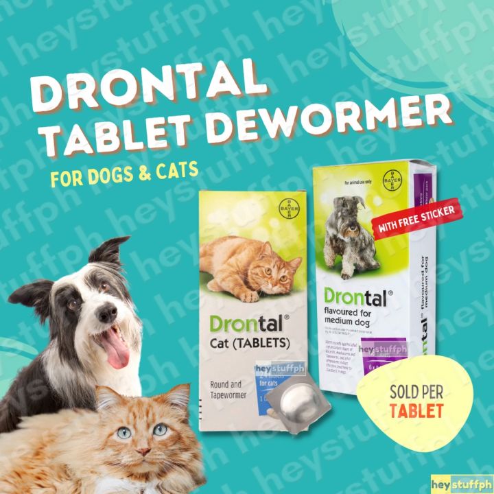 Drontal Per Tablet Tasty Dewormer for Dogs and Cats Lazada PH