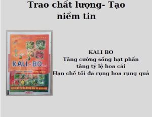 Phân Bón Kali Bo 100Gr – Bổ Sung Dinh Dưỡng Nâng Cao Sức Đề Kháng