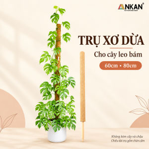 Cọc Đỡ Cây Xơ Dừa ANKAN 60cm 80cm Có Khớp Nối Trụ Cắm Chậu Cho Cây Leo