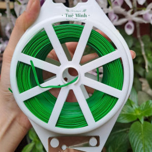 [HCM] cuộn dây cố định lan đủ cỡ (loại có dao cắt sẵn)-CA666