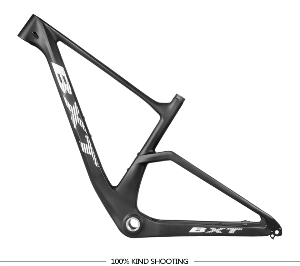 Bxt 29er 2025 carbon frame