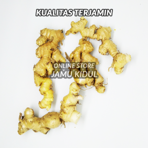 Lempuyang 250gr / Puyang Emprit Segar - Lebih Berkhasiat
