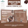 โปรตีน แพลนท์ จากพืช ออแกร์นิค 3 ชนิด รสโกโก้ ช็อกโกเล็ต (PROTEIN PLANT COCOA CHOCOLATE) โปรตีนจากข้าว ถั่วลันเตา และมันฝรั่ง จำนวน 1 กล่อง 7 ซอง 350 กรัม. 