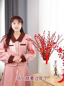 AIDA CNY 2026 Silver Willow 120cm Single Stem Dried Flower Wealth Stays Meaning Chinese New Year Decoration马年活银柳银子留下来寓意