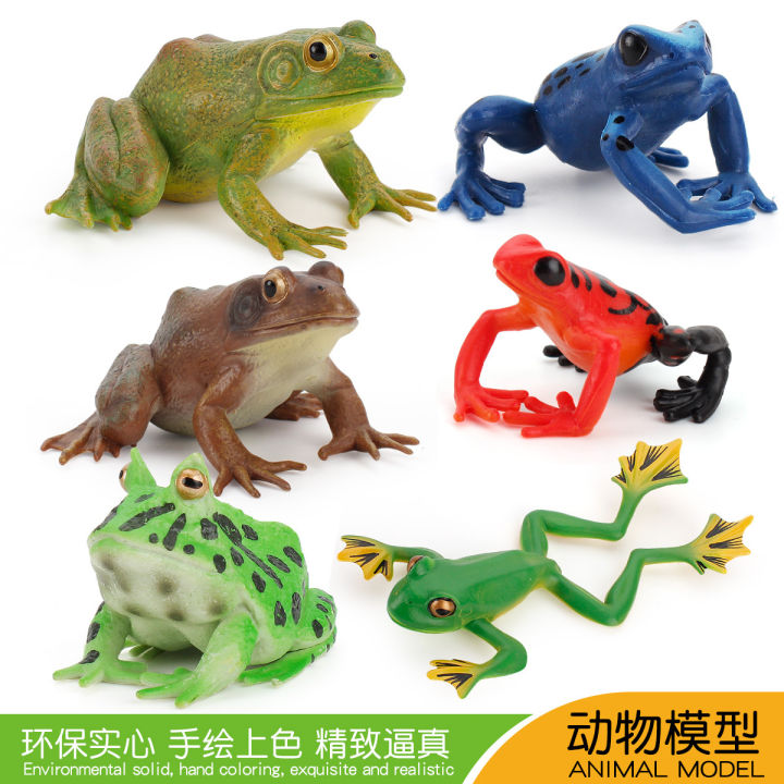 ♞In Stock Wholesale♞Simulation Wild Amphibious Animal Model Toys Frog Tree  Frog Bullfrog Toad Frogs Toy Cognitive Ornaments Children Play House Toys  Creative Gift