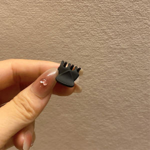 C.three Princess Style Small Hair Claw Clip Small Hair Clip Women Simple Black Hair Clip