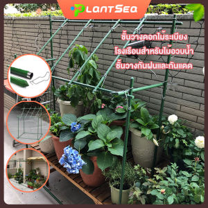 ชั้นวางดอกไม้ระเบียง เสาไม้เลื้อย กระกางต้นไม้ ไม้ค้ำต้นไม้ DIY โรงเรือนสำหรับไม้อวบน้ำ ชั้นวางกันฝนและกันแดด โครงปลูกผัก เหล็กเคลือบพลาส ซุ้มไม้เลื้อย ยาว60-180ซม. หนา11-16มม. ไม้ค้ำยันต้นไม้ ค้างต้นไม้ ค้างผัก ซุ้มไม้