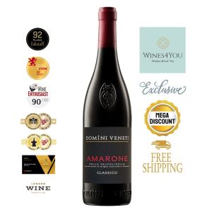 Domini Veneti Amarone della Valpolicella DOCG Classico Italy Red Wine 2021