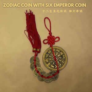 Twelve Zodiac Dispel Coin with Six Emperor Coins