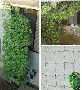 Jaring Untuk Rambatan Tanaman - Garden Net