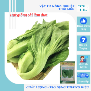 Hạt Giống Cải Bẹ Làm Dưa - Cải Tào Xại - Hạt Giống Thuận Điền