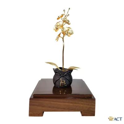 Quà Tặng Chậu Lan 1 Cành Dát Vàng 24k ACT GOLD ISO 9001:2015 - Quà tặng sếp nữ mẹ bạn bè..
