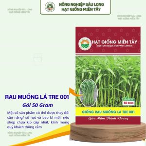 GÓI 50G – HẠT GIỐNG RAU MUỐNG LÁ TRE 001